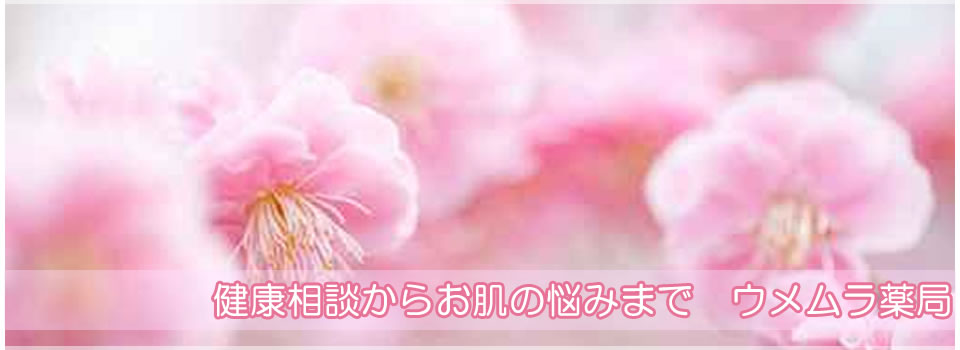 ウメムラ薬局 豊田市　薬局